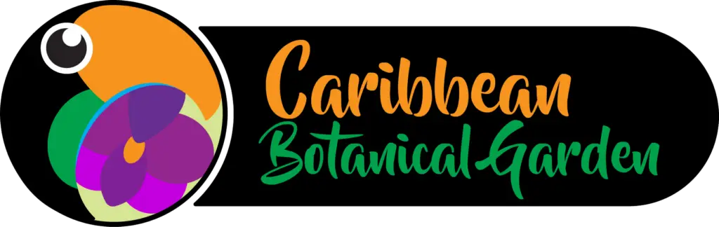 Logo caribbean sin fondo